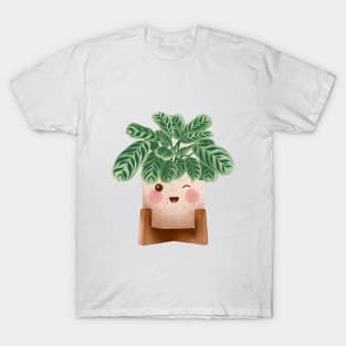 Cute Plant Illustration,  Calathea Burle-Marxii Amabilis T-Shirt